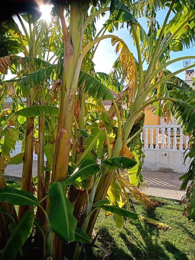 El Paraiso Del Sol 卡塔赫纳 外观 照片